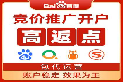 行业领先企业的SEM竞价代运营案例解析